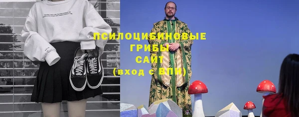 стаф Покровск