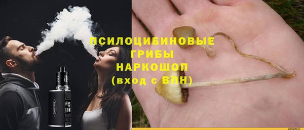стаф Покровск