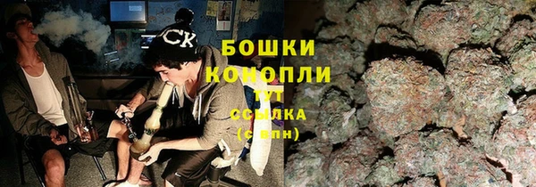 стаф Покровск