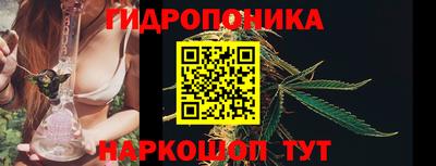кокс Нальчик