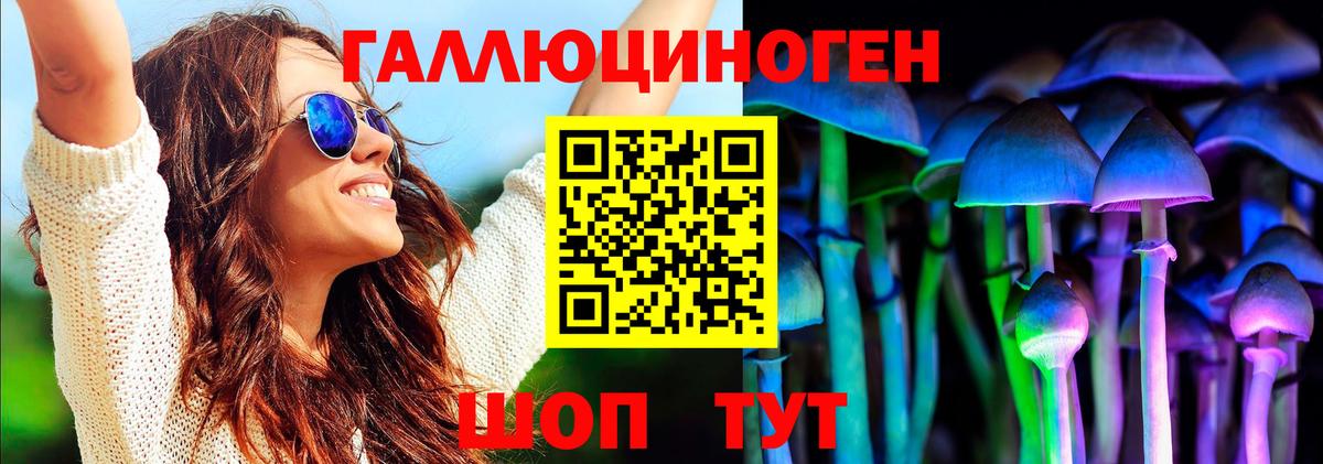 Псилоцибиновые грибы Cubensis  Псилоцибиновые грибы прущие грибы  Усолье-Сибирское  Вход с VPN 