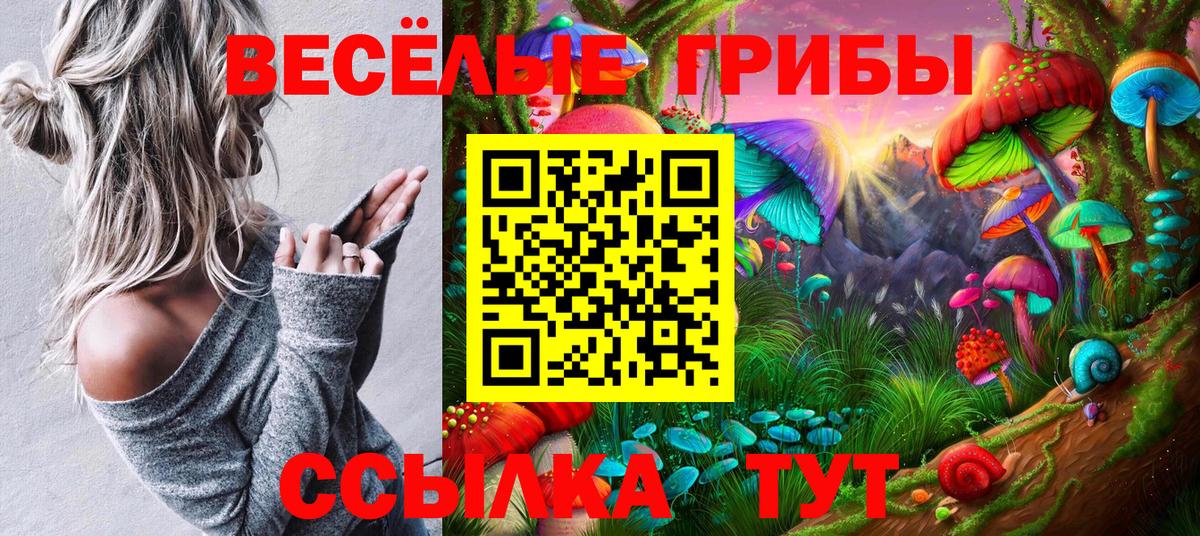 Псилоцибиновые грибы мицелий Усолье-Сибирское